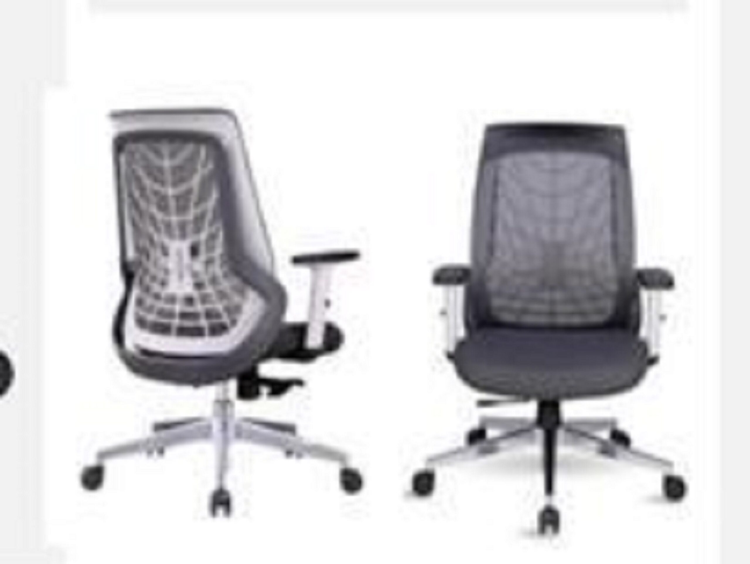 Ergonomic Executive Chair