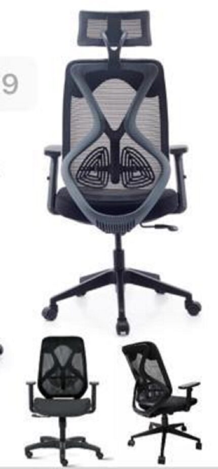 Ergonomic Executive Chair